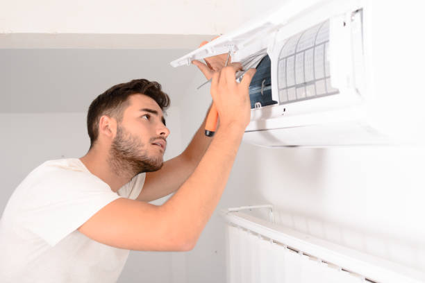 Best Air Vent Cleaning Services  in Tichigan, WI